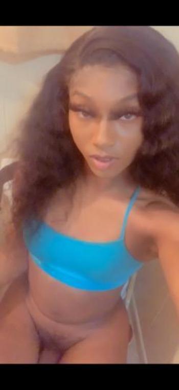Shemale Pensacola - Pensacola Transgender Escorts ðŸ”¥ Pensacola FL Transgender Escort Ads